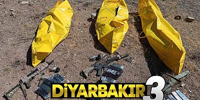 Diyarbakır'da 3 Terörist Öldürüldü