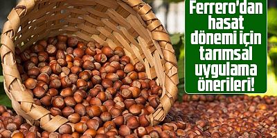 Ferrero Fındık’tan Fındık Hasat Dönemi İçin Tarımsal Uygulama Önerileri