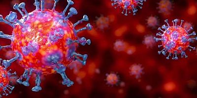 Koronavirüsten 72 kişi Daha Öldü