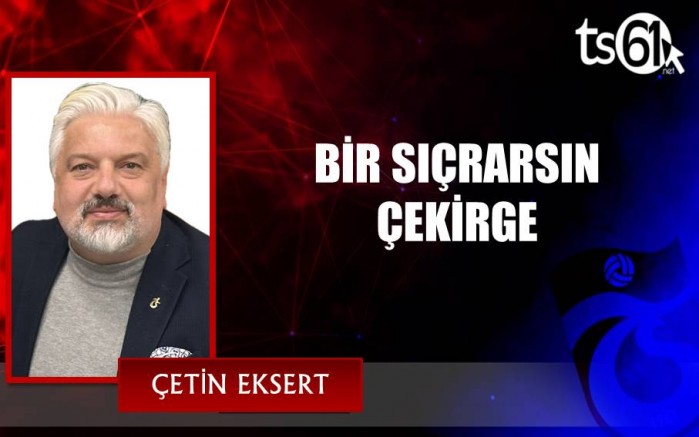 BİR SIÇRARSIN ÇEKİRGE
