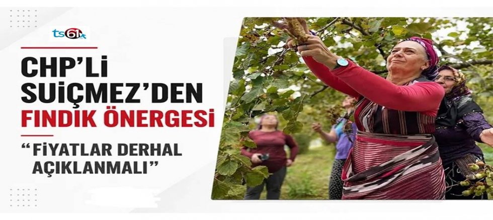 CHP'li Suiçmez'den 'Fındık' önergesi: 