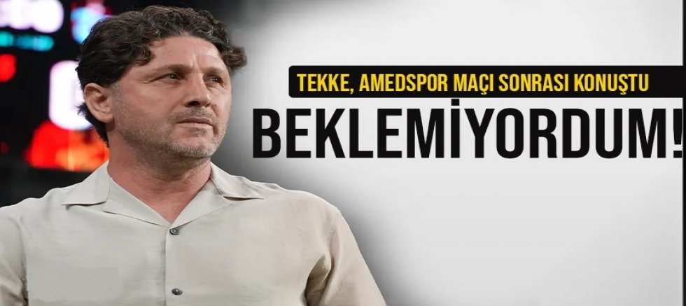Fatih Tekke, Amedspor maçı sonrası konuştu...