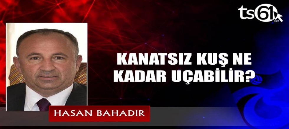 KANATSIZ KUŞ NE KADAR UÇABİLİR?