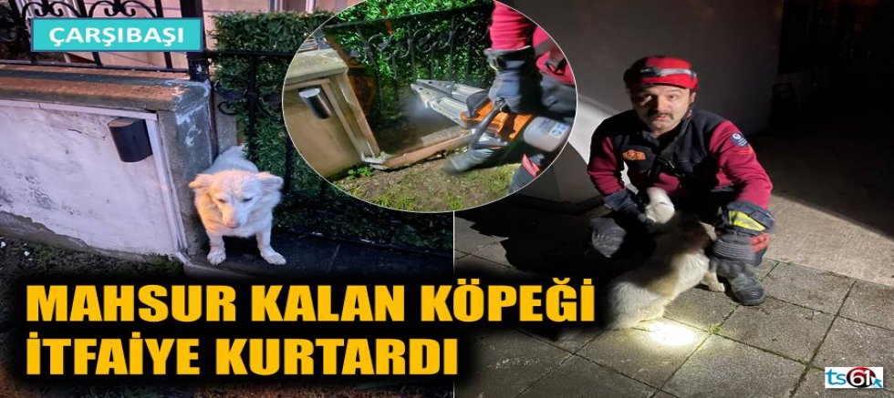 Mahsur kalan köpeği itfaiye kurtardı