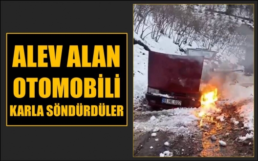 Sürücünün dikkati faciayı önledi