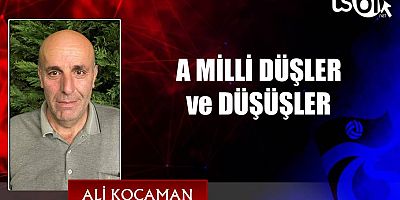 A MİLLİ DÜŞLER VE DÜŞÜŞLER 