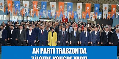 AK Parti 7 ilçede kongre yaptı
