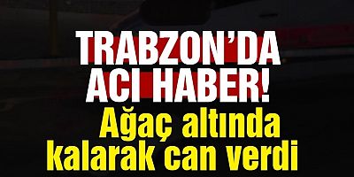 Akçaabat’ta Ağaç Altında Kalarak Can Verdi