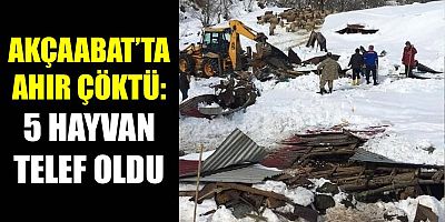Akçaabat’ta Ahır Çöktü