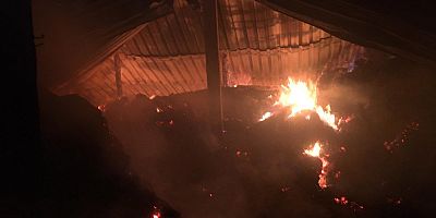 Araklı’da Korkutan Yangın