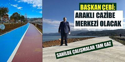 Araklı Sahilinde Çalışmalar Tam Gaz