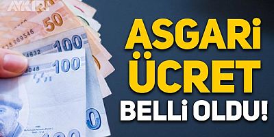 Asgari Ücret 2022 Belli Oldu: 4 bin 250 TL