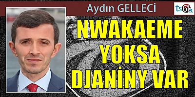 Aydın Gelleci'nin Maç Yazısı...
