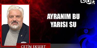 AYRANIM BU YARISI SU