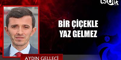 BİR ÇİÇEKLE YAZ GELMEZ