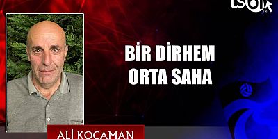 ali kocaman