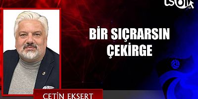 BİR SIÇRARSIN ÇEKİRGE