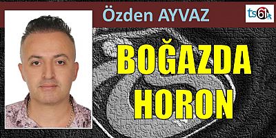 özden ayvaz