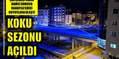 Çarşıbaşı’nda koku sezonu açıldı