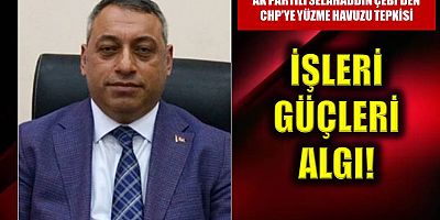 Çebi: İşleri güçleri algı