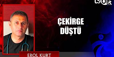 erol kurt