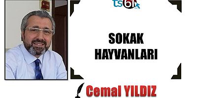Cemal Yıldız'ın yazısı...