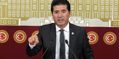 CHP’li Ahmet Kaya: “Fındığa Hak Ettiği Fiyatı Verin”