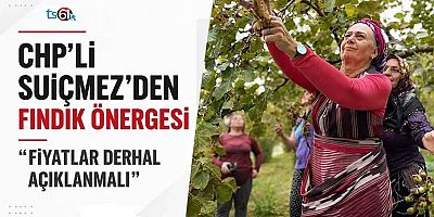 CHP'li Suiçmez'den 'Fındık' önergesi: 