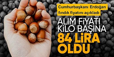 Cumhurbaşkanı Erdoğan fındık alım fiyatlarını açıkladı