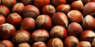 Cumhurbaşkanı Erdoğan Fındık Fiyatını Açıkladı!