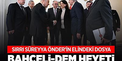 DEM Parti heyeti Devlet Bahçeli ile görüştü