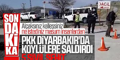 Diyarbakır'da PKK'lı Teröristler Köylülere Saldırdı: 5 şehit