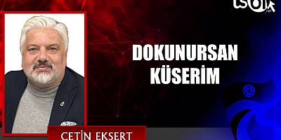 DOKUNURSAN KÜSERİM