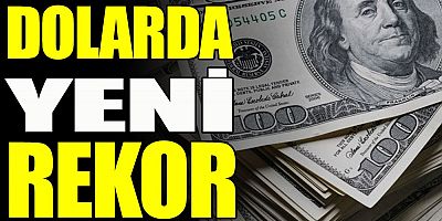 Dolar 19 liranın üzerini gördü