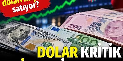 Dolar kritik eşik 49 lirayı aştı
