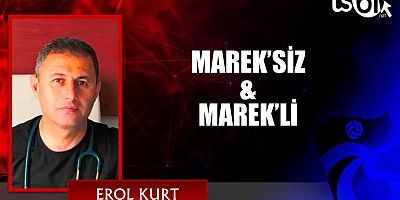 Dr. Erol Kurt'un maç yazısı...