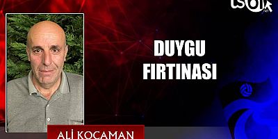 DUYGU FIRTINASI