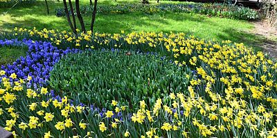 Ekopark Hasreti Sona Erdi!