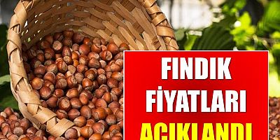 Erdoğan Açıkladı: Fındık 54 Lira