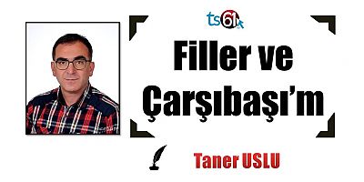 Filler ve Çarşıbaşı'm
