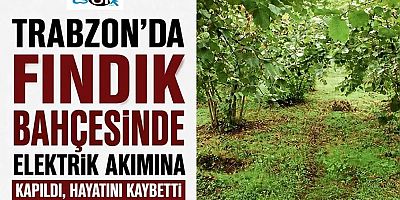 Fındık bahçesinde elektrik akımına kapıldı