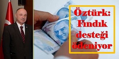 Fındık Destekleme Ödemeleri Başladı