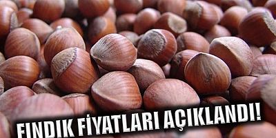 Fındık fiyatları açıklandı