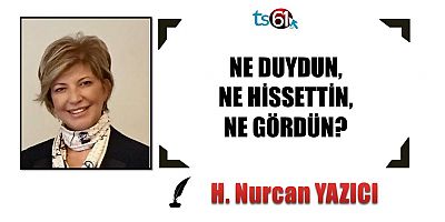 Hayriye Nurcan Yazıcı'nın yazısı...