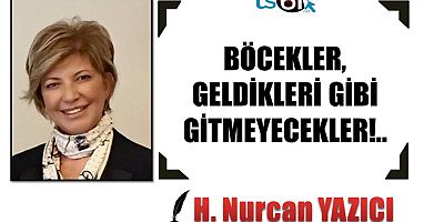 Hayriye Nurcan Yazıcı'nın yazısı...