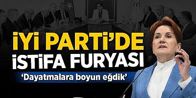 İYİ Parti'den aynı günde bir istifa haberi daha: 'Milletimizin ümitlerini suya düşürdük'