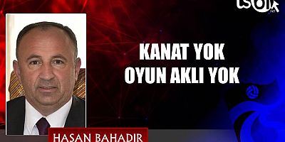 KANAT YOK OYUN AKLI YOK