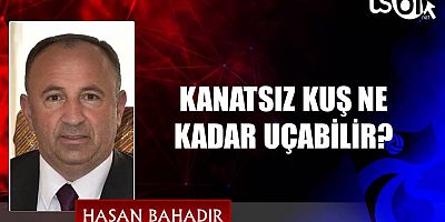 KANATSIZ KUŞ NE KADAR UÇABİLİR?