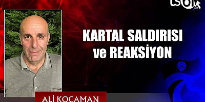 KARTAL SALDIRISI ve REAKSİYON