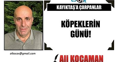 KÖPEKLERİN GÜNÜ!